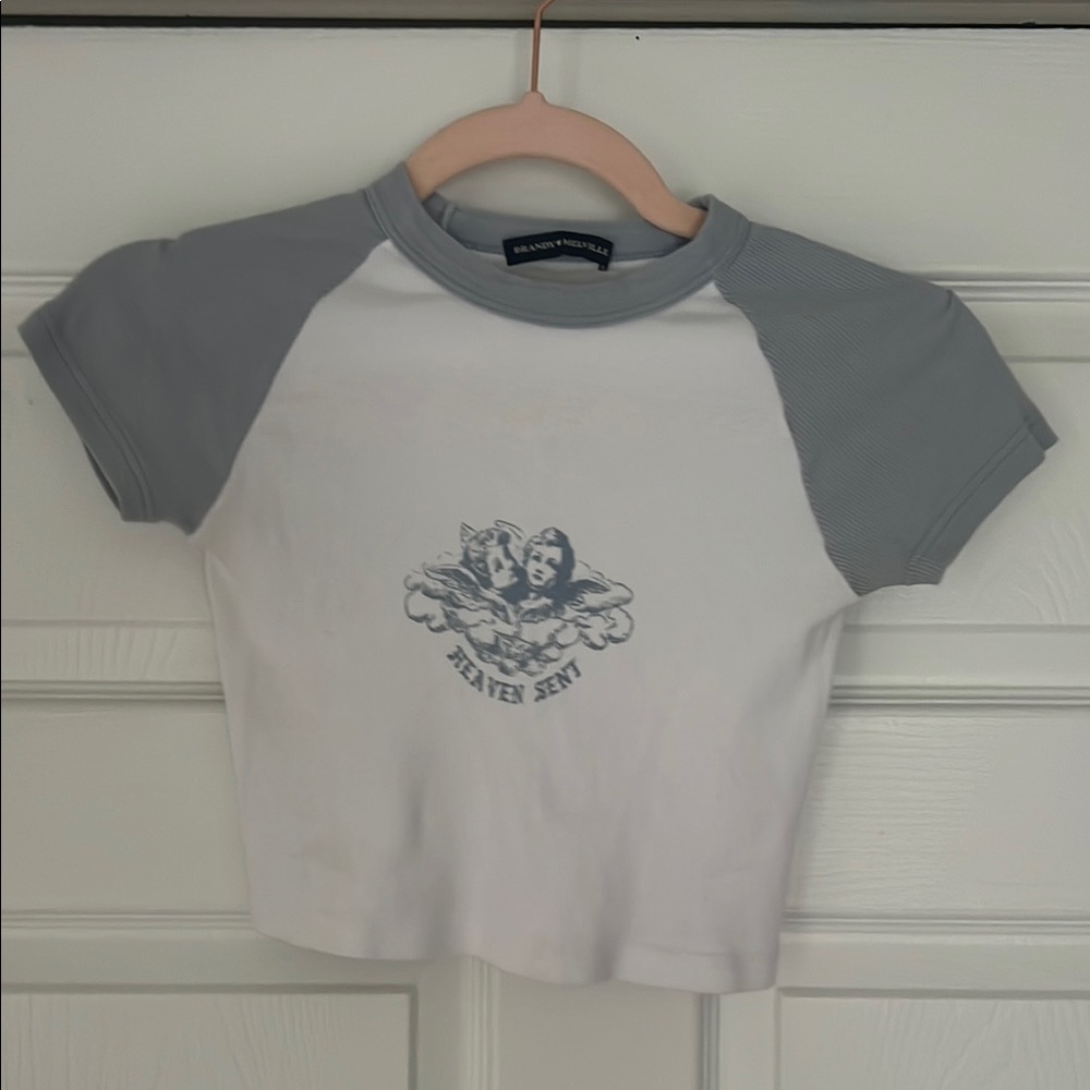 Brandy Melville Gray and White Crop Top